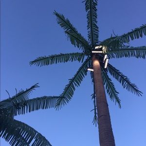 Meet your Posher, Katelyn